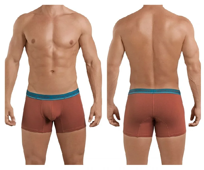 men's moisture-wicking boxer shorts pack-Clever 2394 Attractive Boxer Briefs Color Brown